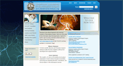 Desktop Screenshot of americanacademyns.org